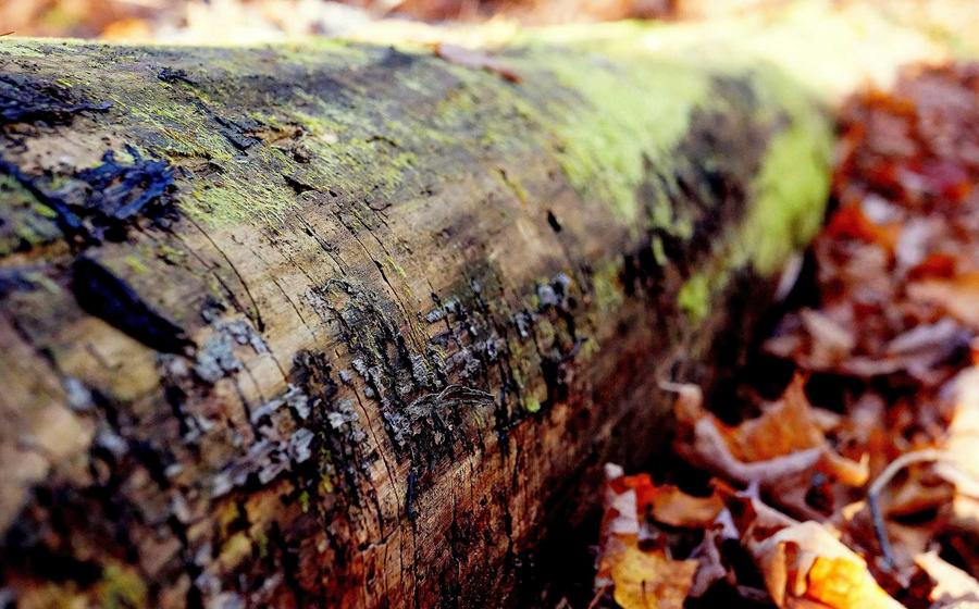 Strategic Partnership with Saudi Aramco for Infrastructure Projects