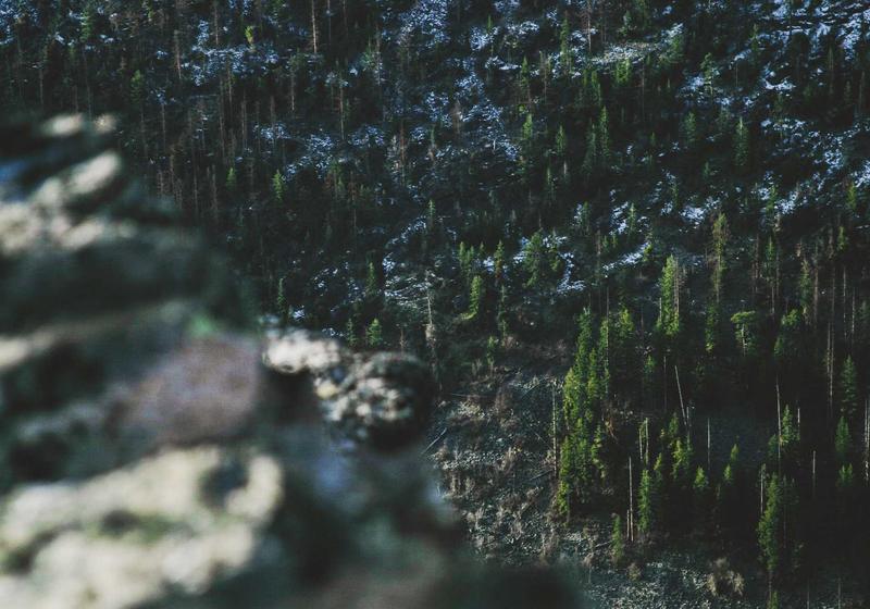 Pearl Retail & Lifestyle Destination