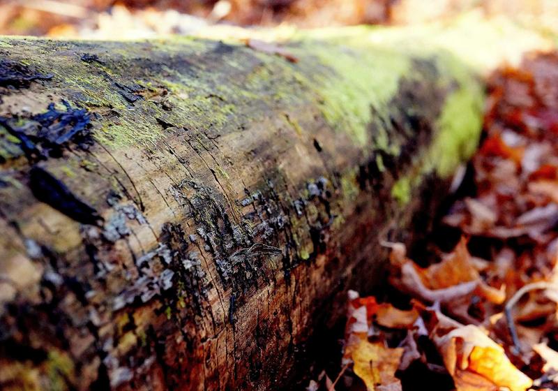 Prince Sultan Road Interchange