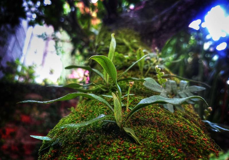 Riyadh Industrial Logistics Park