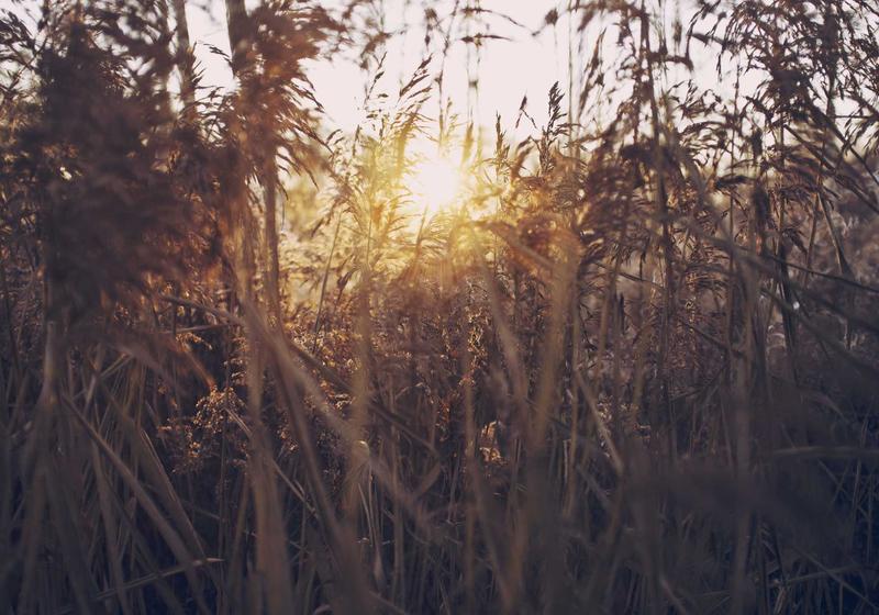 The Gardens Residential Complex