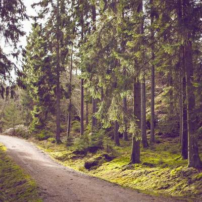 Eng. Khalid Al Rashid